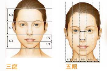 正确比例
