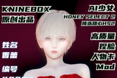 床上伙伴AI少女honey select2高质量人物卡MOD 香蕾 编KS003